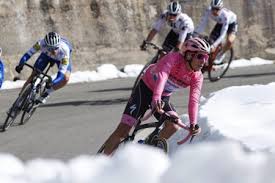 В vale de cambra, португалия). Joao Almeida Joins Uae Team Emirates Road Bike Action