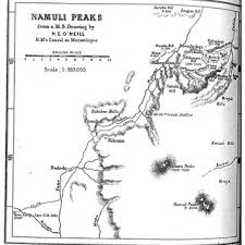 Image result for Pavetta gurueensis