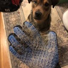 Check spelling or type a new query. Best Dog Grooming Near Me July 2021 Find Nearby Dog Grooming Reviews Yelp