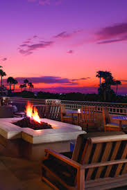 Thirsty camel at the phoenician. Kristi Southard Freetripn Profile Pinterest