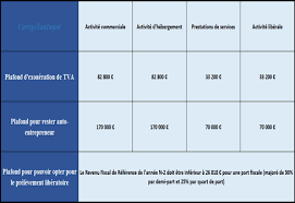 Quand on commande des meubles sur internet et qu'on reçoit un tas de planches à peine emballées et qu'on croirait sorties d'une poubelle ! Plafonds Et Seuils De L Auto Entrepreneur En 2021 Corrigetonimpot