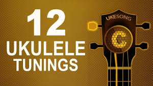We would like to show you a description here but the site won't allow us. 12 Ukulele Tunings Ukulele Tuning Ukulele Ukulele Tuner