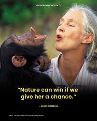 Jane Goodall's relentless pursuit of hope and her passion for inspiring  young people to make a difference is an inspiration. One way we honor her  life today — and every day —