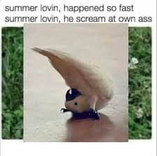 Summer Iovin Happened So Fast Summer Lovin He Scream At Own Ass