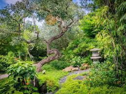 Japanese Garden Miami Beach Botanical Garden