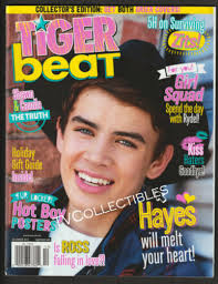 TIGER BEAT STAR 1-78 PARKER, LEIF, JIMMY McNICHOL, CLARK BRANDON, SHAUN,  WILLIE