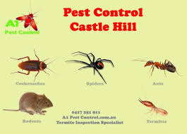 Benefits of child care center ipm. A1 Pest Control Castle Hill Termite Inspection Rodent Treatment