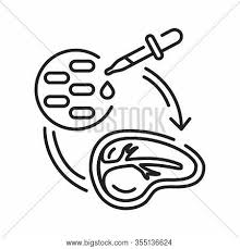We did not find results for: Stem Cell Meat Black Vector Photo Free Trial Bigstock