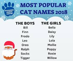They are smart and demanding. Woodside Animal Centre Rspca Leicester Our Most Popular Cat Names For This Year Have Been Announced Did Your Furbaby Make The List Or Have They Got A More Unique