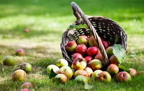 До освящения в церкви на второй спас не полагается есть яблоки и другие фрукты. Yablochnyj Spas 2020 Kogda Preobrazhenie Gospodne Chto Nelzya Delat Primety