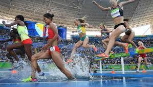 Besondere unterkünfte zum kleinen preis. It Takes A Little Crazy Plus Skill Toughness To Run Steeplechase