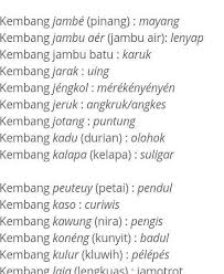 Babasan sunda pribahasa sunda babasan bahasa sunda lengkap dengan arti dan contoh kalimatnya. Nama Bunga Dalam Bahasa Sunda Masnurul