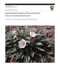 Image result for Tragus pedunculatus