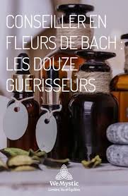 Conseiller En Fleurs De Bach Les Douze Guerisseurs Wemystic France Fleurs De Bach Phytotherapie Bach