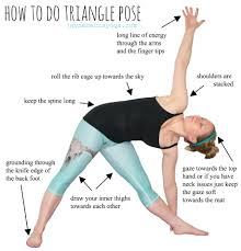 Trianglenobackground Jpg 3658 3804 Yoga Education Triangle Pose Yoga Day