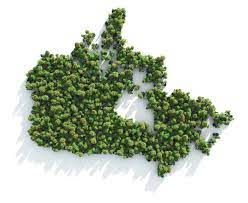Image Result For Alberi Png Pianta Trees Top View Trees To Plant Tree Plan