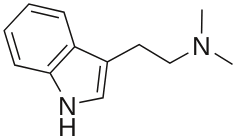 That obviates the need to use a complicated smoking apparatus like a dab rig, that can be. N N Dimethyltryptamine Wikipedia