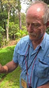Prof Jim Ackerman collecting some paperwasps for study. #eyeontherainforest