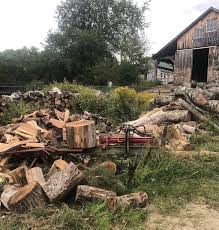 But some very low income families can be given free firewood. Trees On Maine Street Feb 11 2021