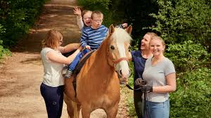 What is awareness through movement (atm) lesson? Heilpadagogisches Und Therapeutisches Reiten Verein Fur Menschen Mit Korperbehinderung Nurnberg E V