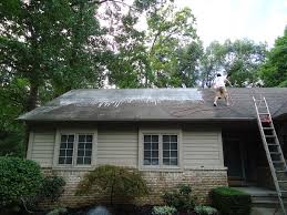How to clean asphalt shingle roof. Roof Cleaning Wikipedia