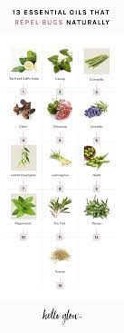 Here are suggestions for using essential oils for pest control to deal with specific bugs. 13 Essential Oils That Repel Bugs Naturally Hello Glow