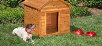 They have various benefits that set them apart from regular dog houses. 16 Free Diy Dog House Plans Anyone Can Build