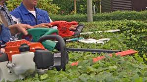 Sämtliche testsieger ᐅ jetzt ansehen. Welche Heckenschere Ist Am Besten Ndr De Ratgeber Garten