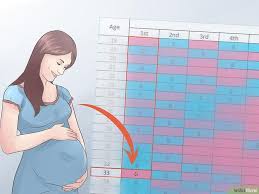 3 Ways To Use The Chinese Birth Gender Chart For Gender Selection Gender Chart Gender Selection Chinese Birth Chart