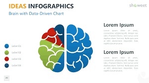 ideas infographics for powerpoint infographic concept