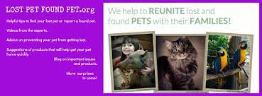 The owner of a missing cat is asking for help. Lost Pet Found Pet Home Facebook