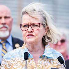 Far-right US groups coalescing to stoke unfounded fears of non-citizens  voting