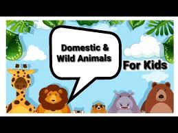 Almost like eggnog, but warm and creamy. Domestic And Wild Animal Questions Answers Animals Questions And Answers Animal Gk Animal Quiz Youtube