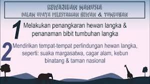 Mengikuti sosialisasi / penyuluhan tentang kebersihan sungai 5. Tematik 4c Ppkn Hak Kewajiban Terhadap Hewan Youtube