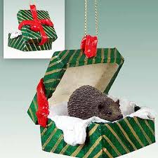 Hedgy the hedgehog christmas ornament. Hedgehog Gift Box Christmas Ornament Animalden Com