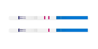 Premium Vector Pregnancy Test Sticks With Results