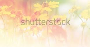 Pin On Beautiful Photo