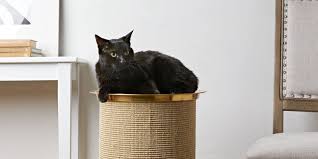 Watch this diy for full information! 11 Cat Crafts That Are Perfect For Your Feline Friend Martha Stewart