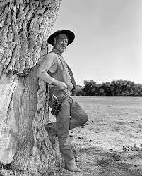 Paul Brinegar Was Born On December 19 1917 In Tucumcari New Mexico Usa As Paul Alden Brinegar He Was An Acto Tv Westerns Clint Eastwood Hollywood Tv Series