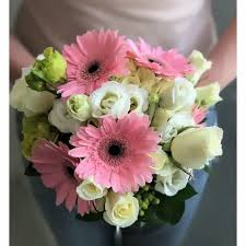 Image result for Gerbera
