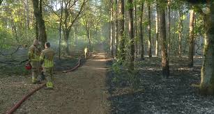 Grote brand in Heldense Bossen: 7000 vierkante meter getroffen