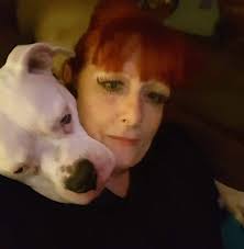 Using CBD for refractory epilepsy in dogs?