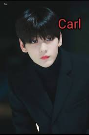 Ariel's library fans   