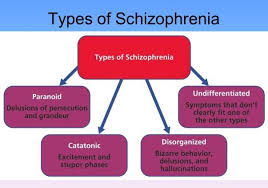 Image result for Schizozygia