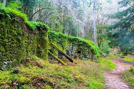 Forest Usa California Nature Park Redwood National And State Parks State Parks National Parks