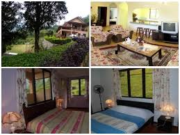 Mau booking hotel di cameron highlands? 11 Homestay Di Cameron Highland Murah Terbaik Untuk Bajet Keluarga