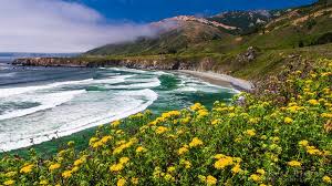Main flower meanings flower color meaning flower symbolism in different cultures and history interesting and fun facts meaningful botanical and medicinal properties gift giving tips and special occasions ever wondered whether you should offer a … The Beauty Of Nature Home Facebook