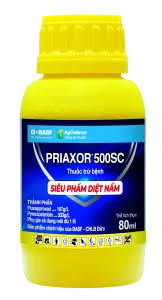 Priaxor 500SC.
