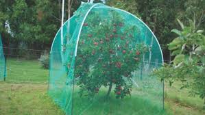Fruit tree netting frames australia. How To Protect Your Fruit Crops From Birds Stuff Co Nz