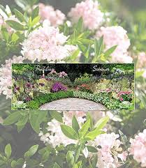 Rhododendron Nugget By Bloombux Garten Bloombux Immergrune Hecke